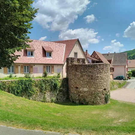 La Grande Terrine - Gites Les Potiers Kaysersberg-Vignoble Exterior photo