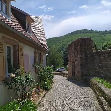 La Grande Terrine - Gites Les Potiers Kaysersberg-Vignoble Exterior photo