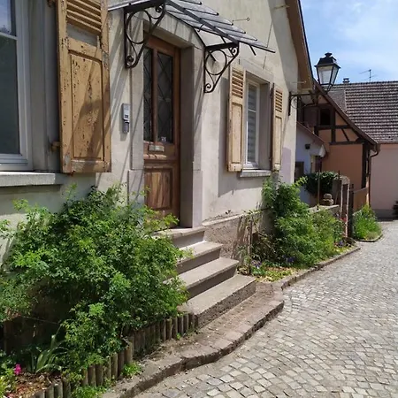 La Grande Terrine - Gites Les Potiers Kaysersberg-Vignoble Exterior photo