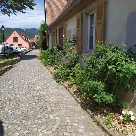 La Grande Terrine - Gites Les Potiers Kaysersberg-Vignoble Exterior photo