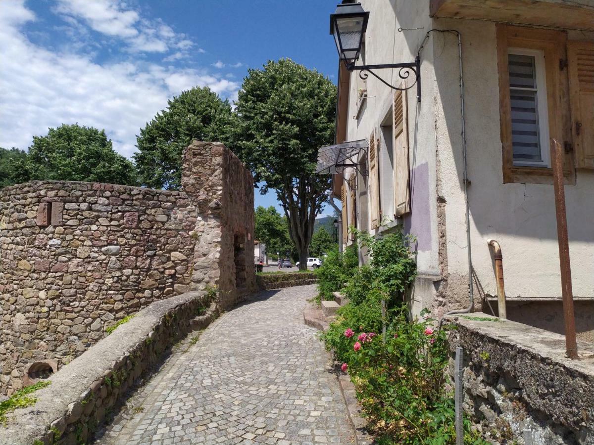 La Grande Terrine - Les Potiers Kaysersberg-Vignoble